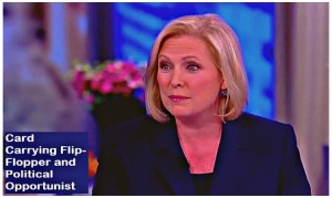 screenshot-senator-kirsten-gillibrand-002B-political-opportunist445x265[1]